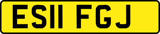 ES11FGJ
