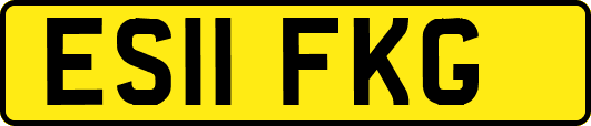 ES11FKG