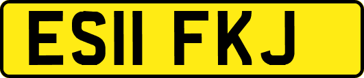 ES11FKJ