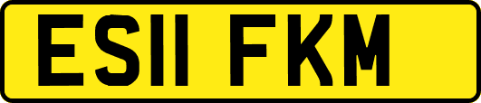 ES11FKM