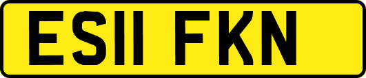 ES11FKN