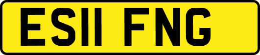 ES11FNG