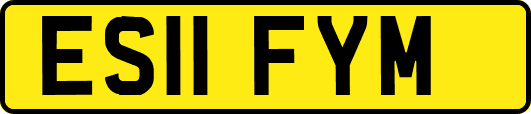ES11FYM