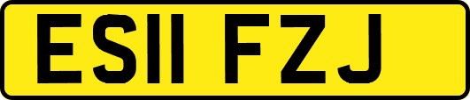 ES11FZJ
