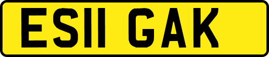 ES11GAK