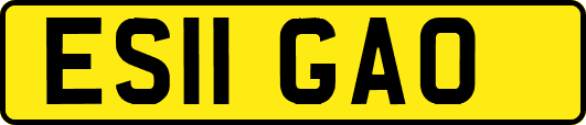 ES11GAO