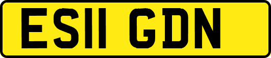 ES11GDN