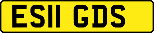 ES11GDS