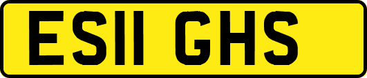 ES11GHS