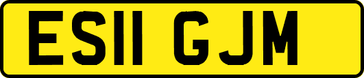 ES11GJM