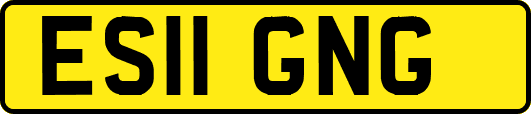 ES11GNG