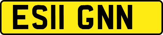 ES11GNN