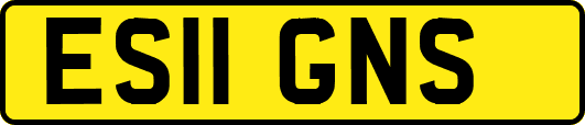 ES11GNS