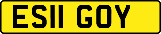 ES11GOY