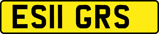 ES11GRS