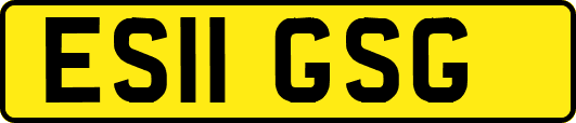 ES11GSG