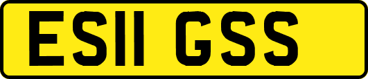 ES11GSS