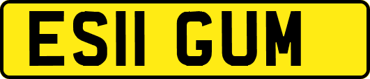 ES11GUM