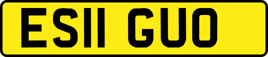 ES11GUO