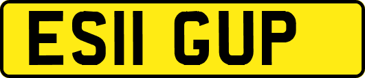 ES11GUP