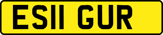 ES11GUR