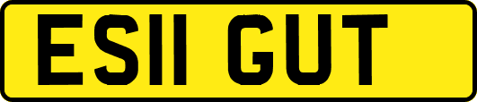 ES11GUT