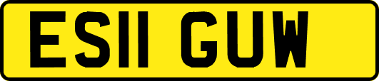 ES11GUW