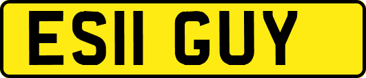 ES11GUY