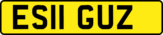 ES11GUZ