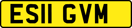 ES11GVM