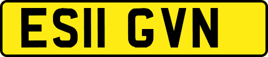 ES11GVN