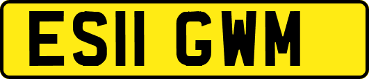 ES11GWM