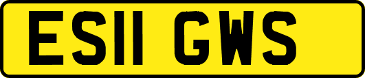 ES11GWS