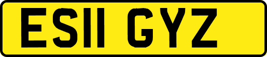 ES11GYZ