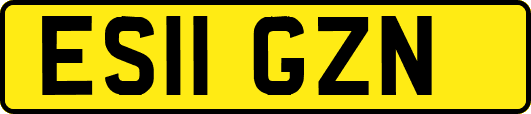 ES11GZN