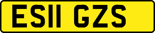 ES11GZS