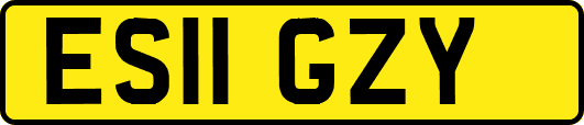 ES11GZY