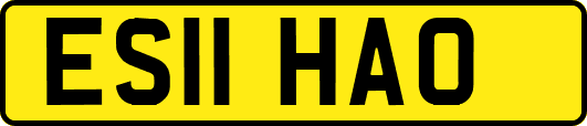 ES11HAO