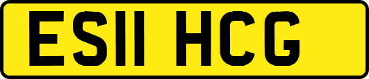 ES11HCG