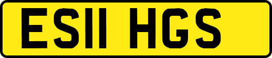 ES11HGS