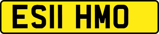 ES11HMO