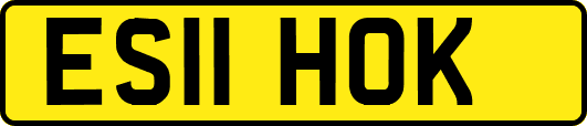 ES11HOK