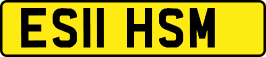 ES11HSM