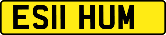 ES11HUM