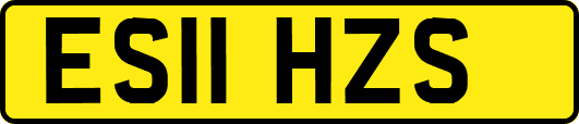 ES11HZS