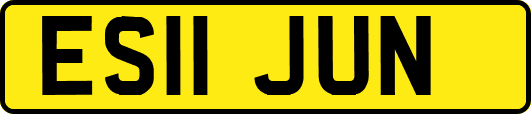 ES11JUN