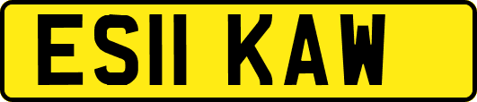 ES11KAW