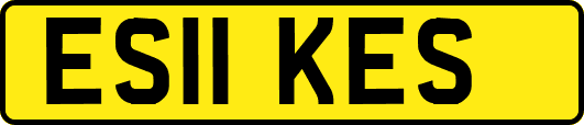 ES11KES