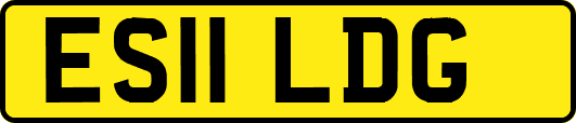 ES11LDG