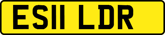 ES11LDR